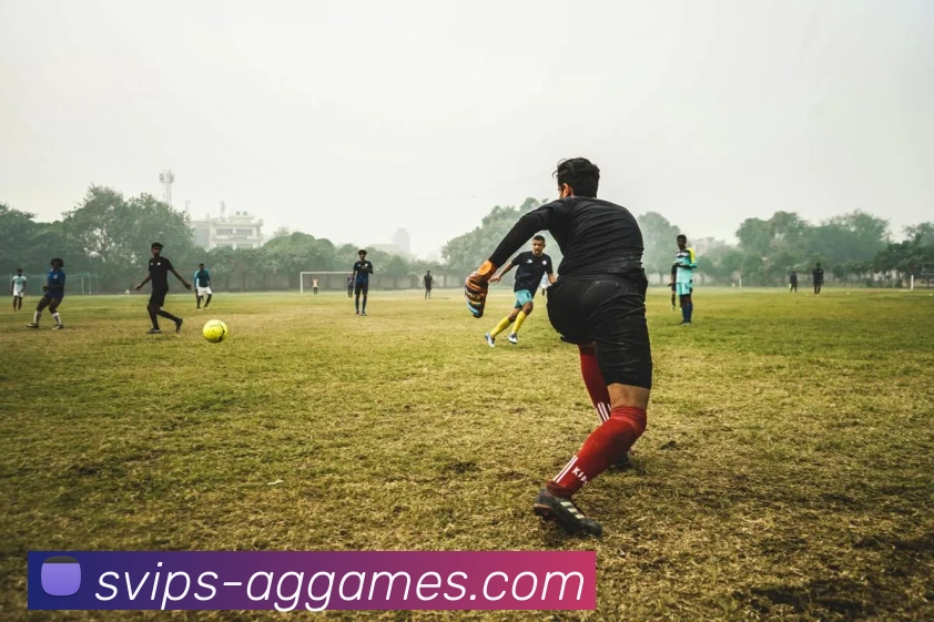 AG真人官网APP 封面图